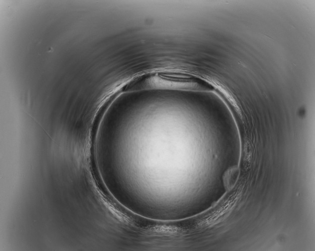 X0000098180437200805011039