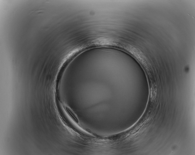 X0000098180438200805011039