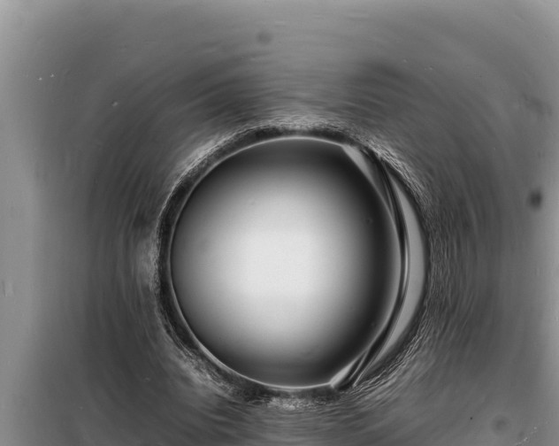 X0000098180440200805011039