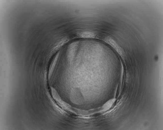 X0000098180441200805011040