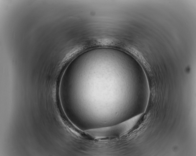 X0000098180442200805011040