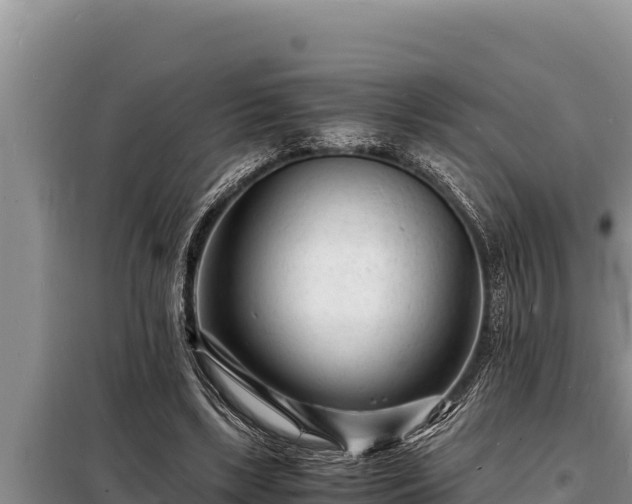 X0000098180443200805011040