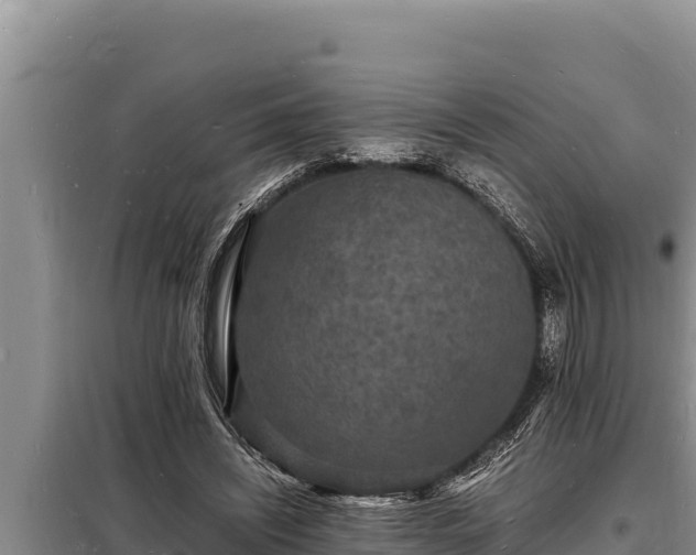 X0000098180444200805011040