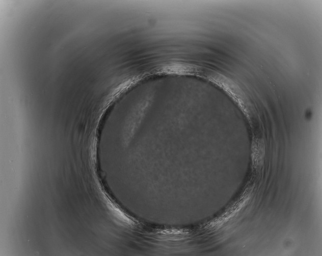 X0000098180445200805011040