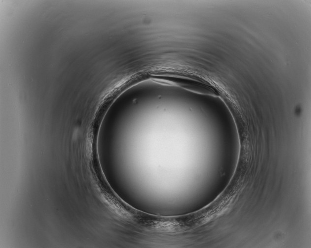 X0000098180446200805011040