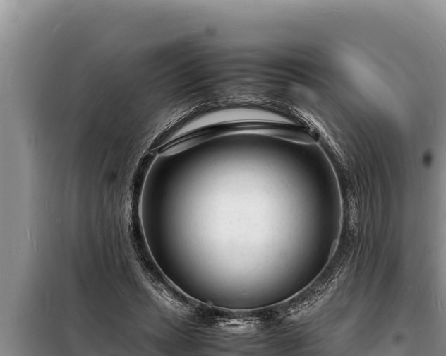 X0000098180447200805011040