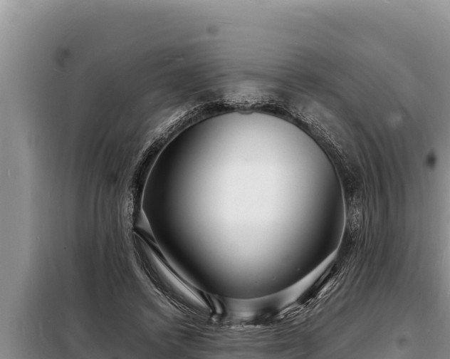 X0000098180448200805011040