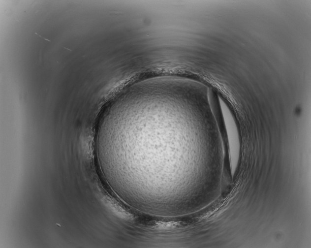 X0000098180450200805011040