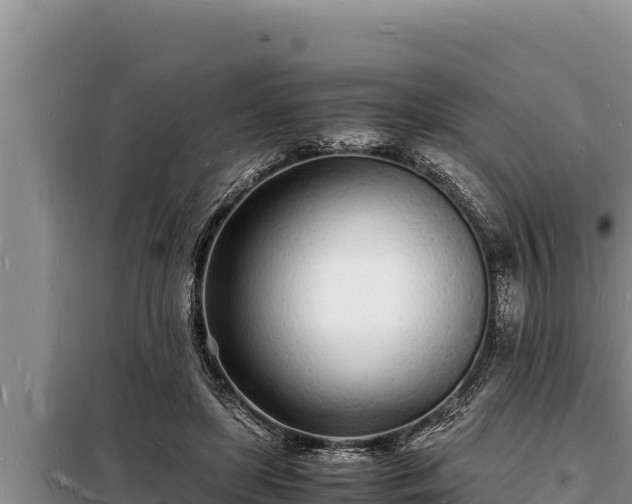 X0000098180451200805011040