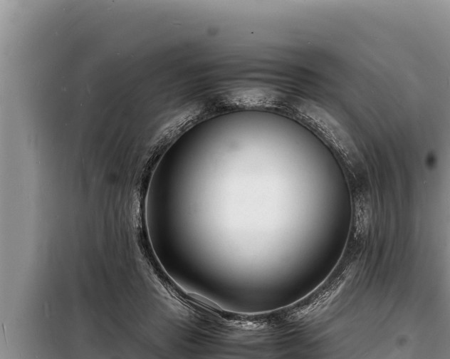 X0000098180453200805011040