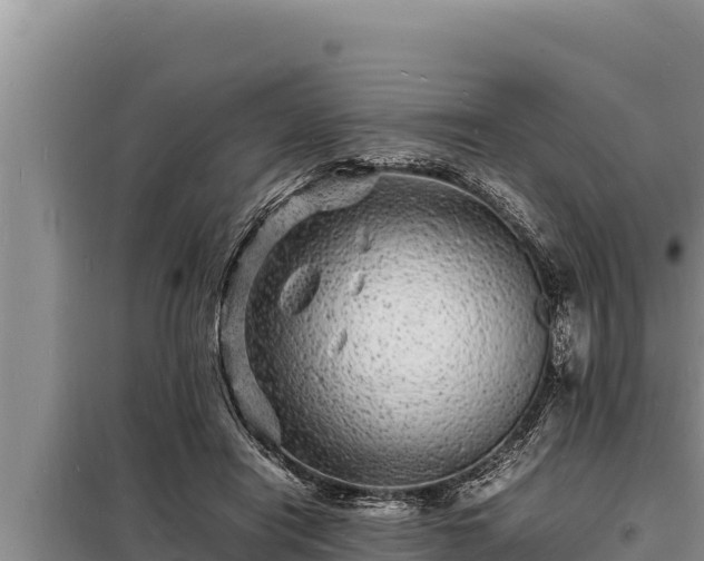 X0000098180454200805011040