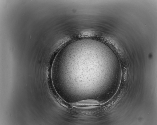 X0000098180455200805011040