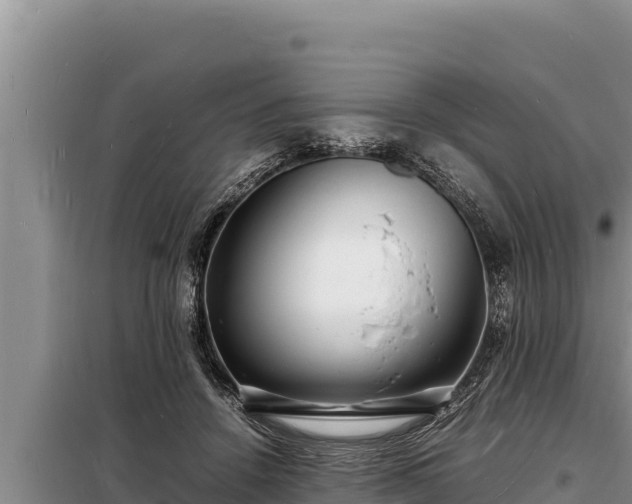 X0000098180456200805011040