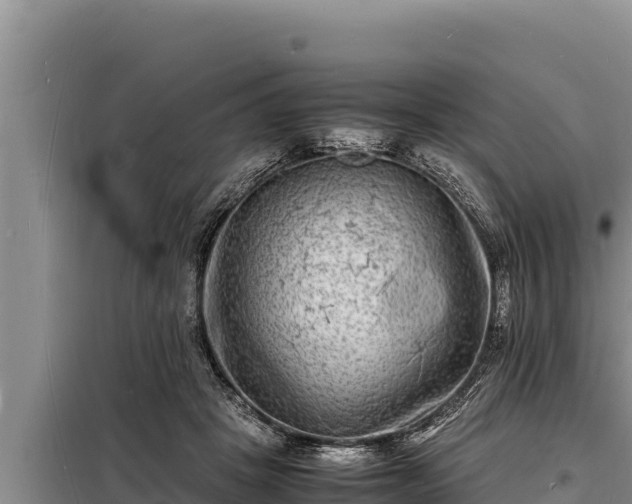 X0000098180457200805011040