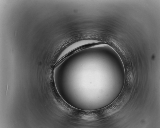 X0000098180459200805011040