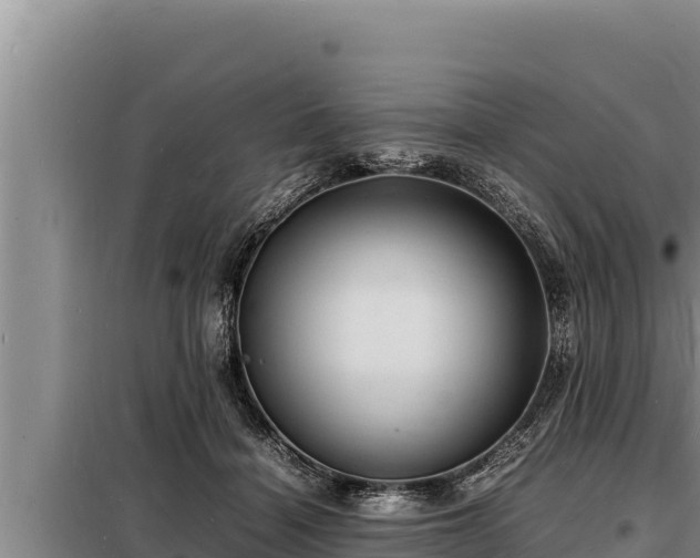 X0000098180460200805011040