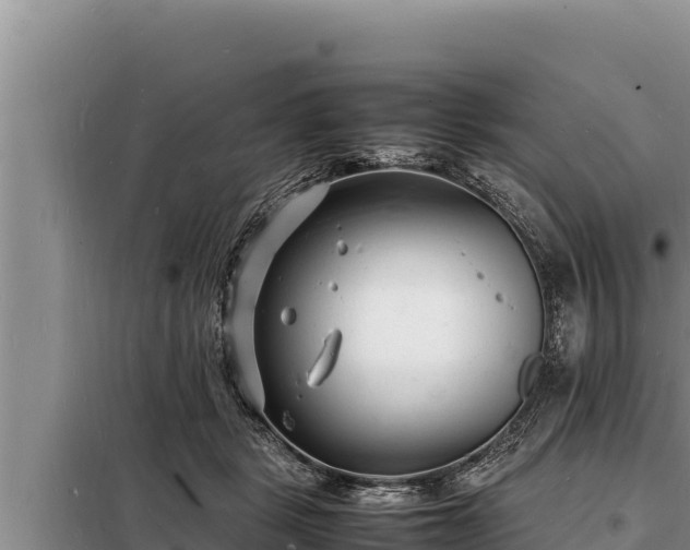 X0000098180461200805011040