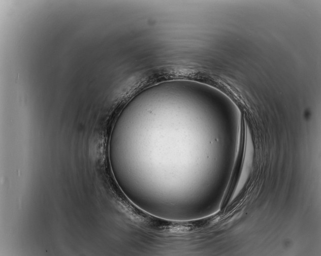 X0000098180462200805011040