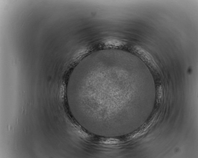 X0000098180463200805011040