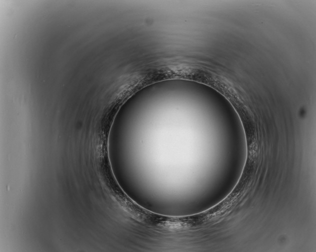 X0000098180464200805011040