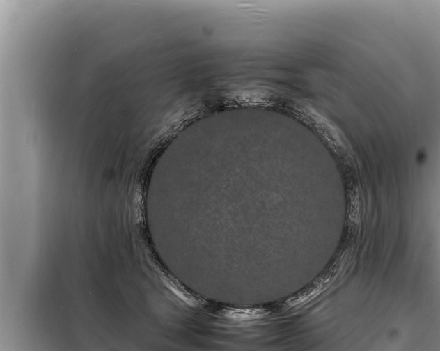 X0000098180465200805011040