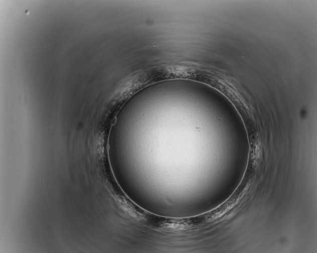 X0000098180466200805011040