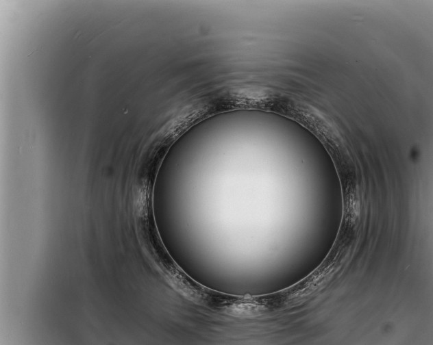 X0000098180468200805011040