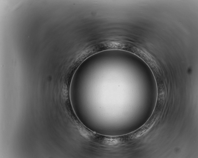 X0000098180469200805011040