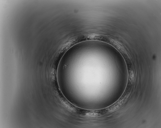 X0000098180470200805011040