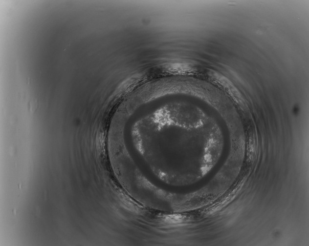 X0000098180473200805011040