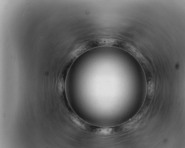 X0000098180474200805011040