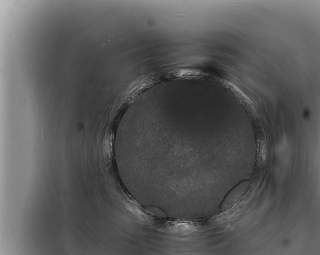 X0000098180475200805011040