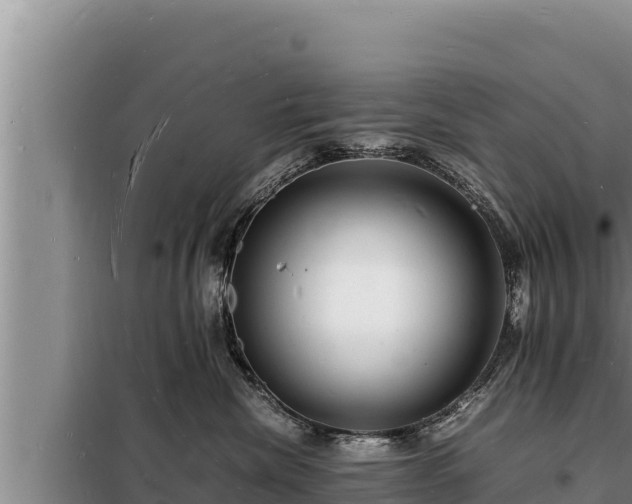 X0000098180476200805011040