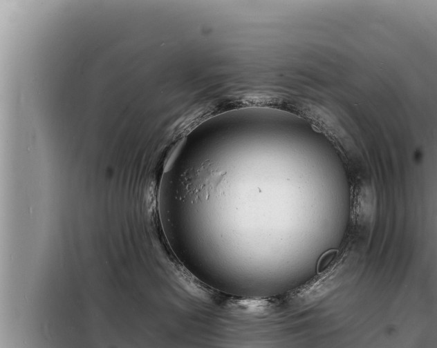 X0000098180478200805011040