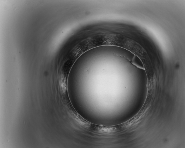 X0000098180479200805011040