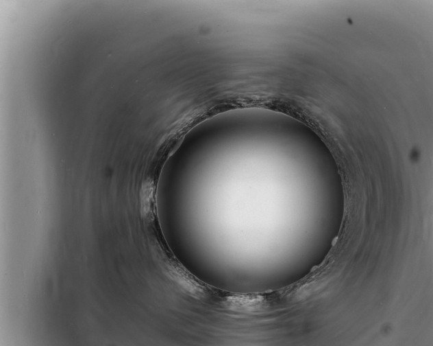 X0000098180480200805011040