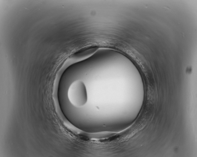 X0000098180481200805011039