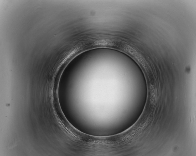 X0000098180482200805011039