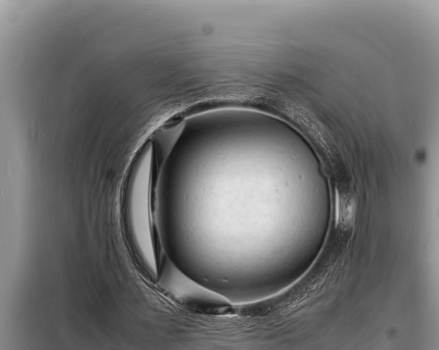 X0000098180483200805011039