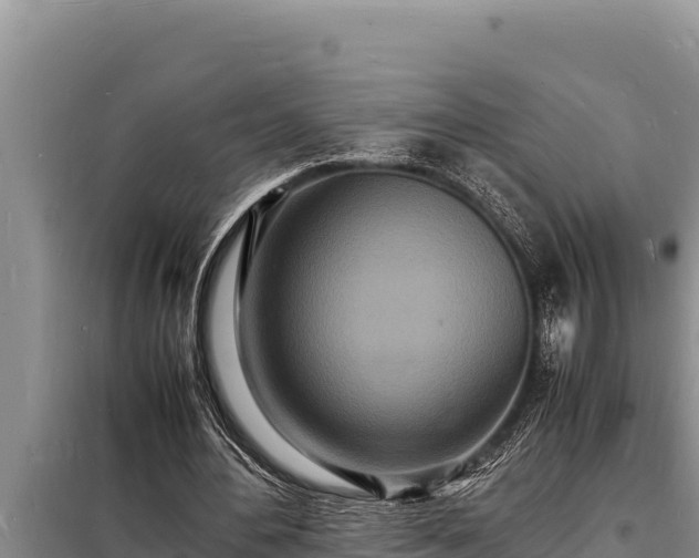 X0000098180484200805011039