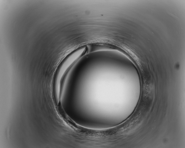 X0000098180485200805011039