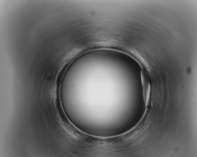 X0000098180486200805011039