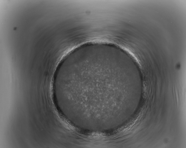 X0000098180487200805011039