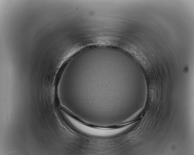 X0000098180488200805011039