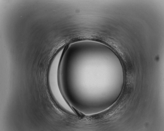 X0000098180489200805011039