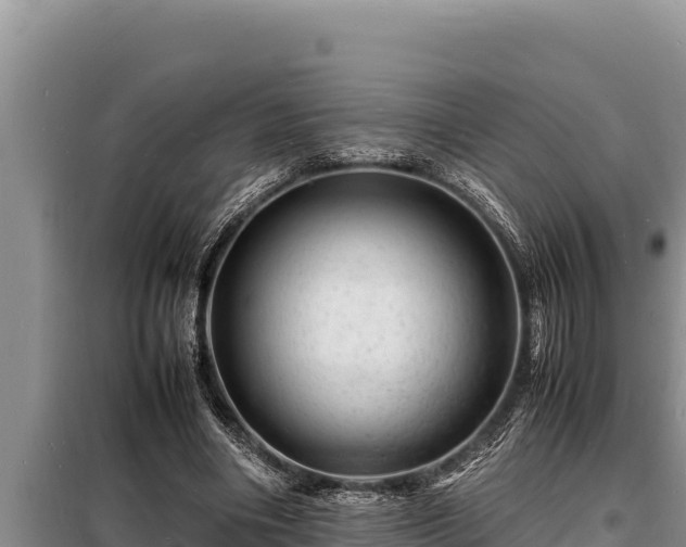 X0000098180490200805011039