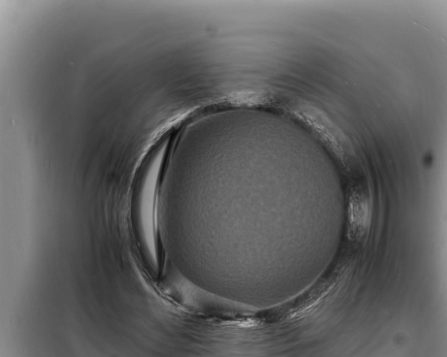 X0000098180492200805011039