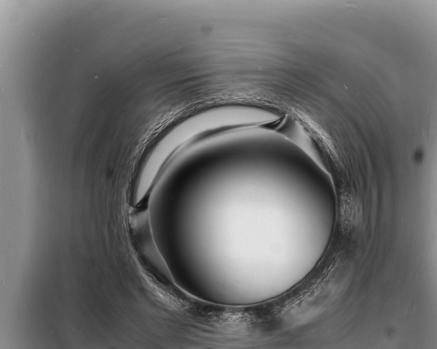 X0000098180493200805011039