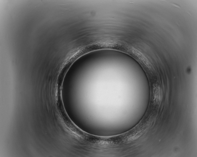 X0000098180494200805011039