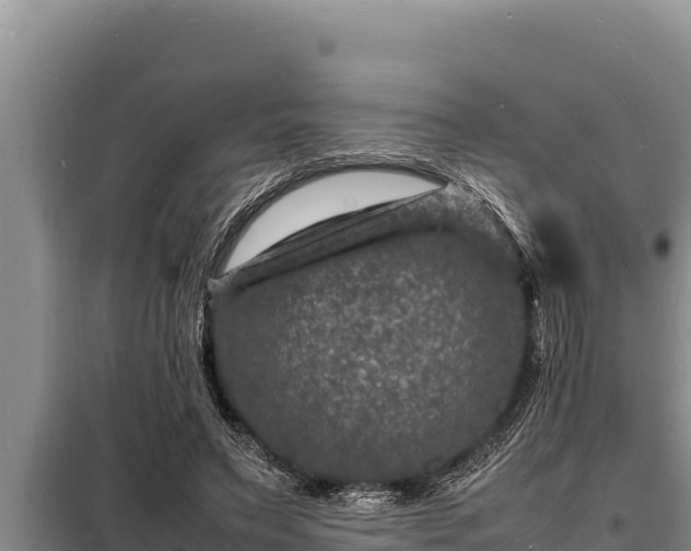 X0000098180495200805011039